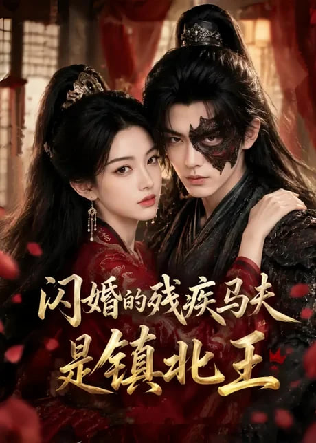 闪婚的残疾马夫是镇北王(全集)