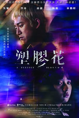 塑胶花 第03集